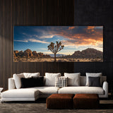 Joshua Tree Desert Majesty 81