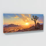 Joshua Tree Sunset 12