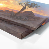 Joshua Tree Sunset 12