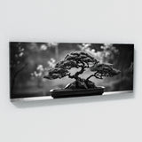 Bonsai Tree Bonsai Serenity 90