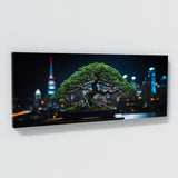 Bonsai Tree City Bonsai Harmony 100