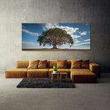 Eucalyptus Tree Ascension 69