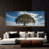 Eucalyptus Tree Ascension 69