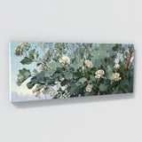 Eucalyptus Tree Blossoms 16