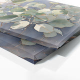 Eucalyptus Tree Breeze 27