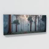 Eucalyptus Tree Enigmatic Dream 68
