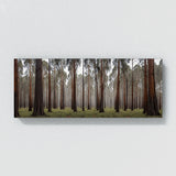 Eucalyptus Tree Guardians 74