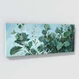 Eucalyptus Tree Serenity 4