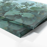 Eucalyptus Tree Serenity 4