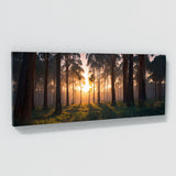 Eucalyptus Tree Twilight Glow 78