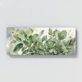 Eucalyptus Tree Whispering 21