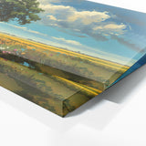 Acacia Tree Bloom Panorama 16