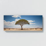 Acacia Tree Desert Panorama 70
