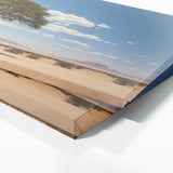 Acacia Tree Desert Panorama 70