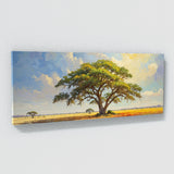 Acacia Tree Sunlit Splendor 48