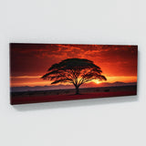 Acacia Tree Sunset 64