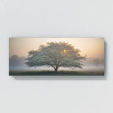 Dogwood Tree Foggy Dawn 74