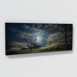 Dogwood Tree Nocturne 69