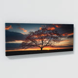 Dogwood Tree Sunset Silhouette 76