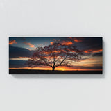 Dogwood Tree Sunset Silhouette 76