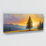Fir Tree Golden Dawn 55