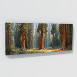 Sequoia Tree Glistening Giants 28