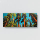 Sequoia Tree Vivid Burst 58