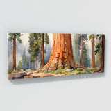 Sequoia Tree Watercolor 19