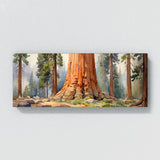 Sequoia Tree Watercolor 19