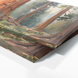 Sequoia Tree Watercolor 19