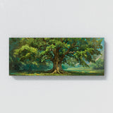 Elm Tree Ancient Majesty 2