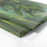 Elm Tree Ancient Majesty 2