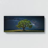 Elm Tree Celestial 69