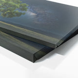 Elm Tree Celestial 69