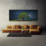 Elm Tree Celestial 69