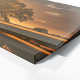 Elm Tree Golden Glow 72