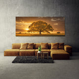 Elm Tree Golden Glow 72