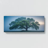 Elm Tree Misty Dawn 68
