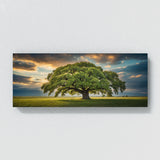 Elm Tree Odyssey 64