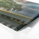 Elm Tree Odyssey 64