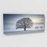 Elm Tree Snowy Serenity 80