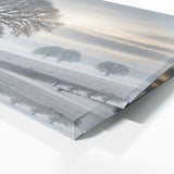 Elm Tree Snowy Serenity 80