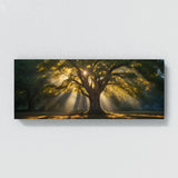 Elm Tree Sunbeams Magic 76