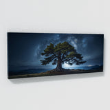 Cedar Tree Celestial 68