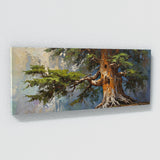 Cedar Tree Majestic Aging 54