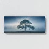 Cedar Tree Mystical Dawn 65