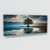 Cedar Tree Reflection 73