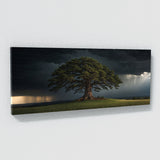 Cedar Tree Storm Sentinel 69