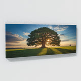 Cedar Tree Tranquility Scene 77