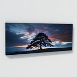 Cedar Tree Twilight Silhouette 62